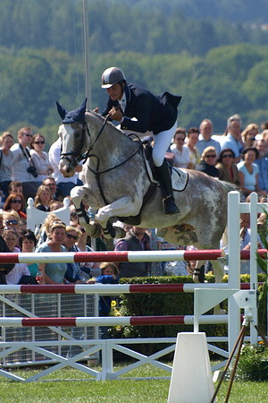Great Yorkshire Show, Show Jumping